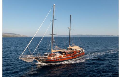 Gulet & Motor Sailer 