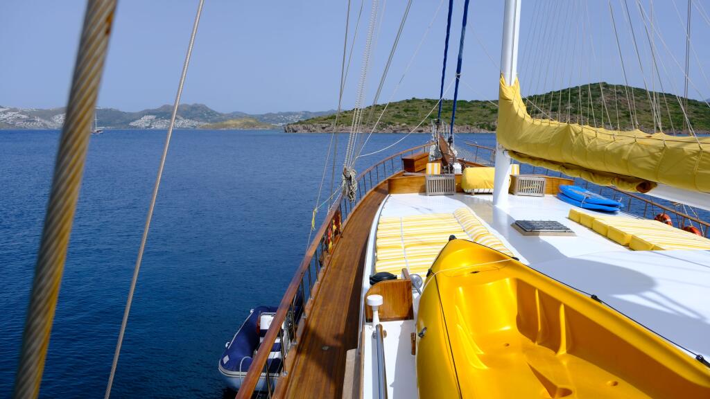 Gulet & Motor Sailer 
