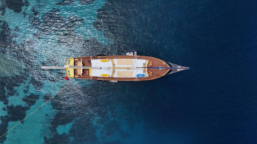 Gulet & Motor Sailer 