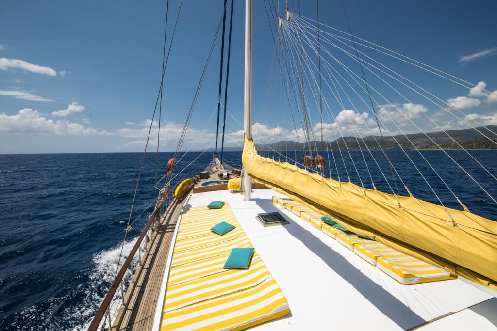 Gulet & Motor Sailer 