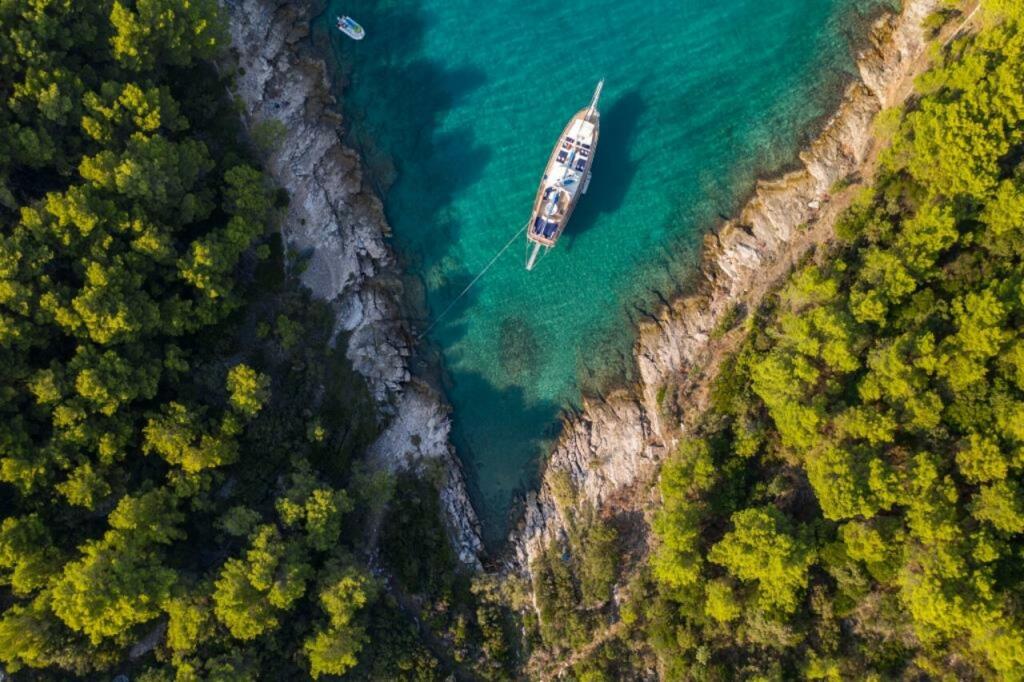 Gulet & Motor Sailer 