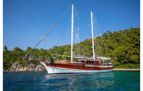 Gulet & Motor Sailer 