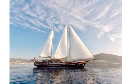 Gulet & Motor Sailer 