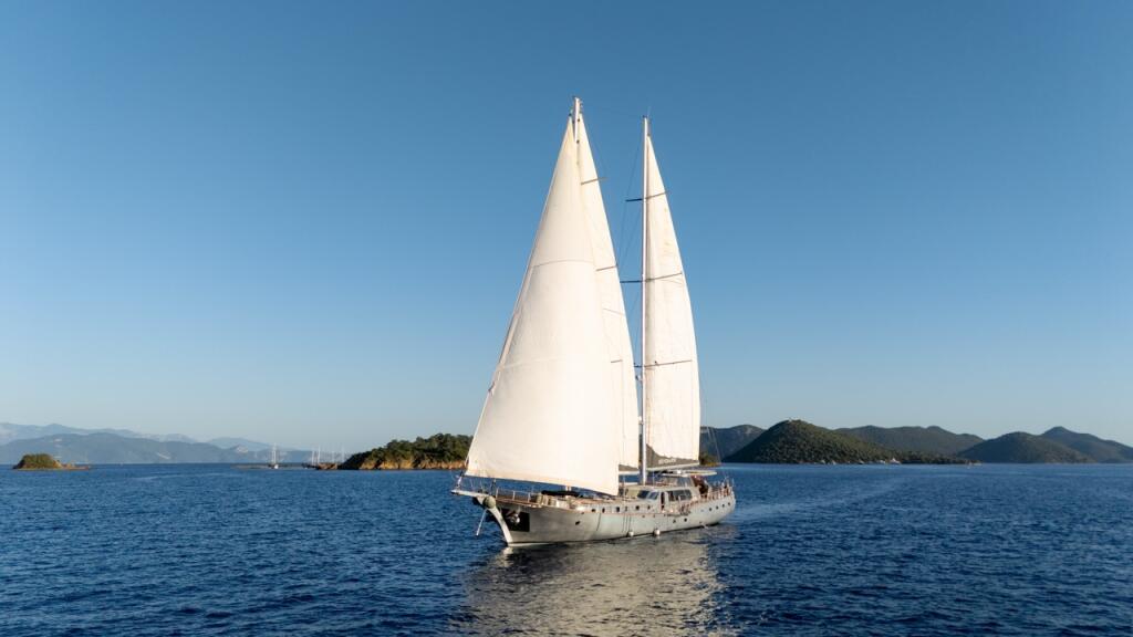 Gulet & Motor Sailer 