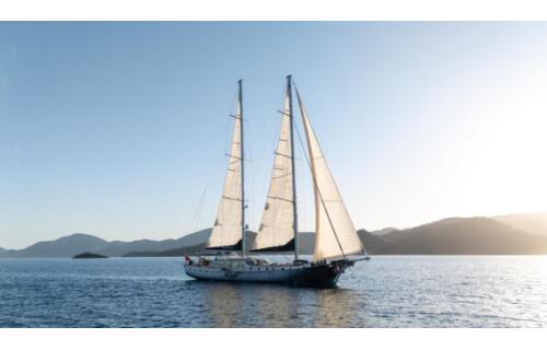 Gulet & Motor Sailer 