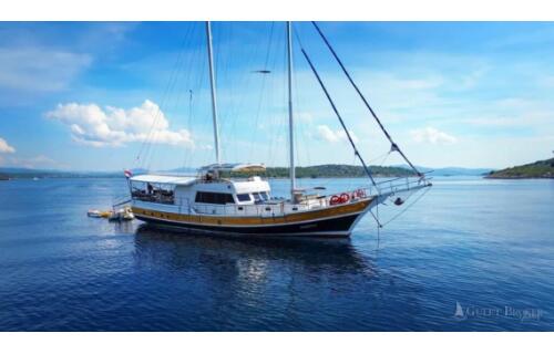 Gulet & Motor Sailer 