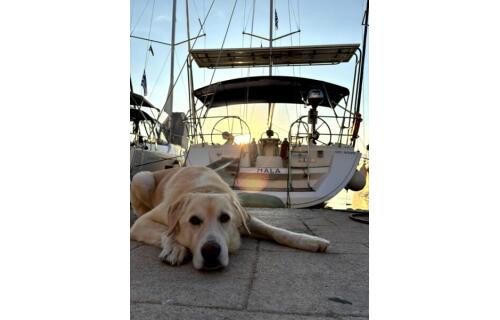 Sailing yacht 